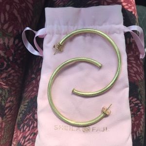 Sheila Fajl Everybody’s Favorite Hoops